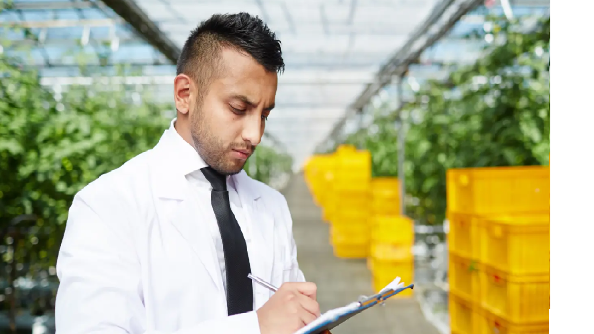 Comparación entre sistemas fijos y portátiles de monitoreo de etileno.png